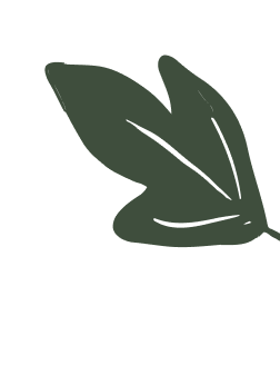 abstract leaf